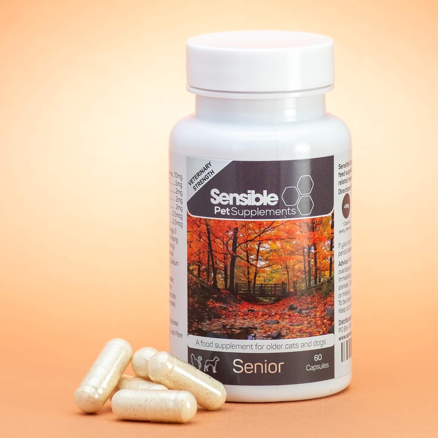 Sensible Pet Supplements 'Senior'. Supplement for older dogs and cats. Supporting brain and cognitive health. Contains Omega 3 - Image 4