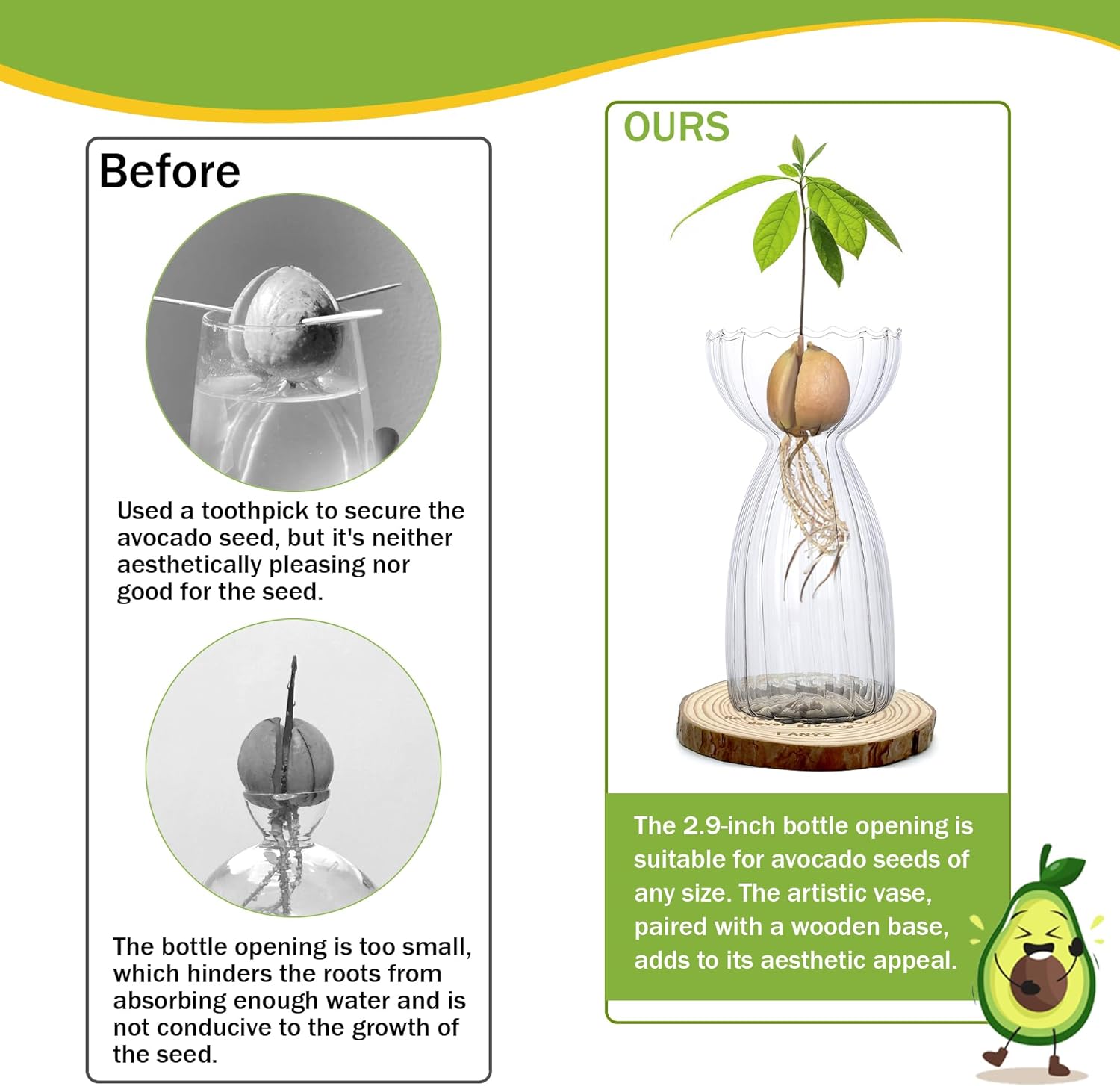 Avocado Vase Grow Glass, Avocado Seed Starter Vase Growing Kit with Planting Guide for Women Gardening Lovers Home Office Table Decoration.