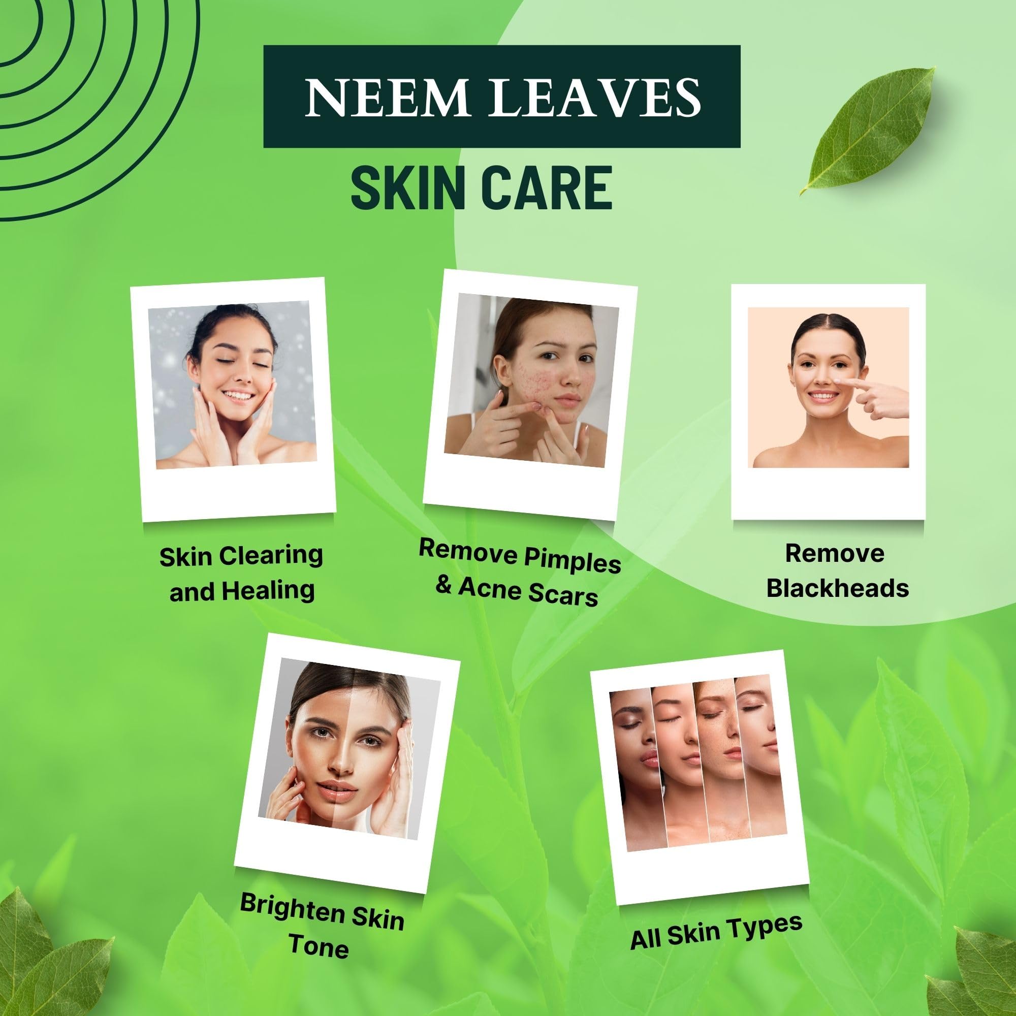 Brijbooti Neem Leaves 400 Gram - Leaf - Neem Leaves Dried for Skin & Eating - Sukhi Neem Patti — Amazon image 5
