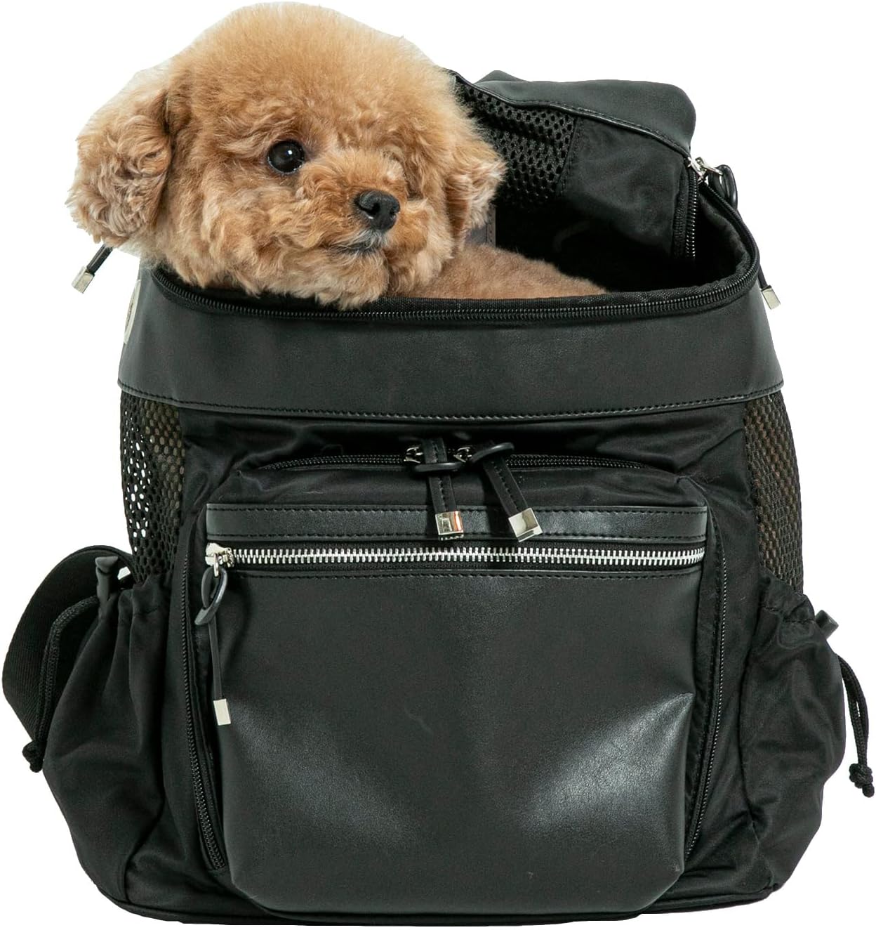 Amazon.co.jp: [citydog / シティドッグ] シティバックパック キャリー