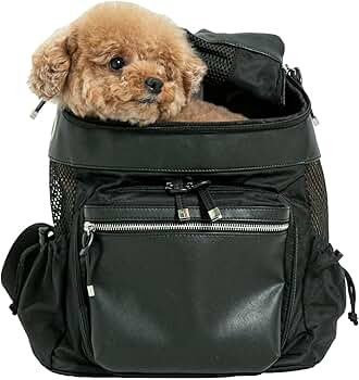 Amazon.co.jp: [citydog / シティドッグ] シティバックパック キャリー