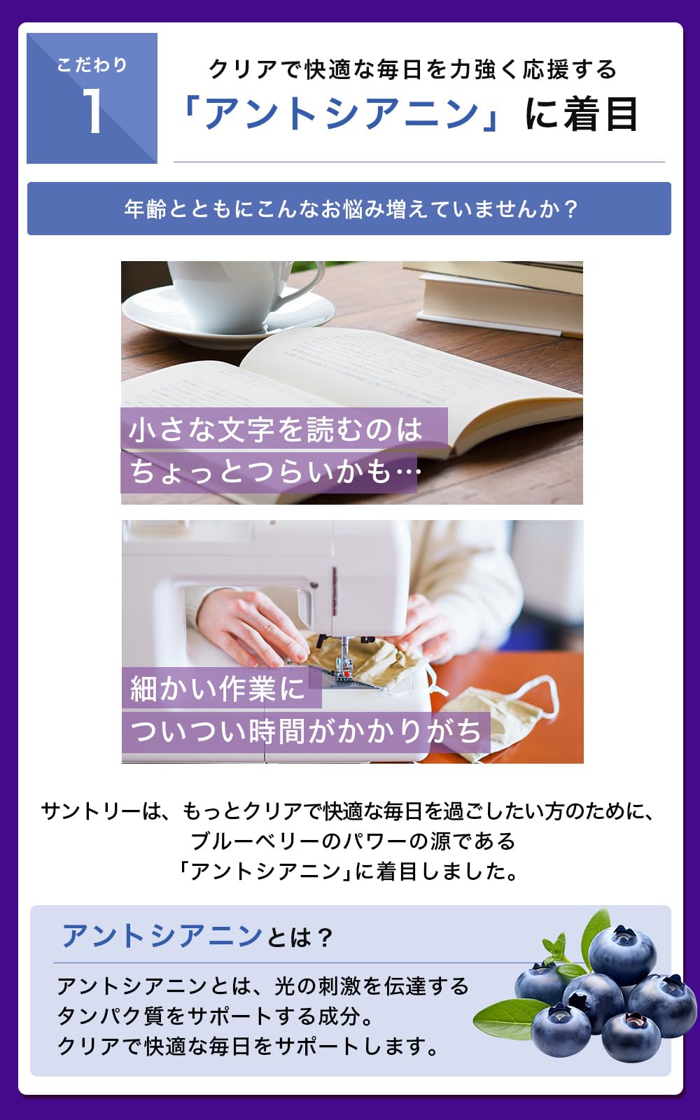 Amazon | サントリー ブルーベリー｜ビルベリー アスタキサンチン
