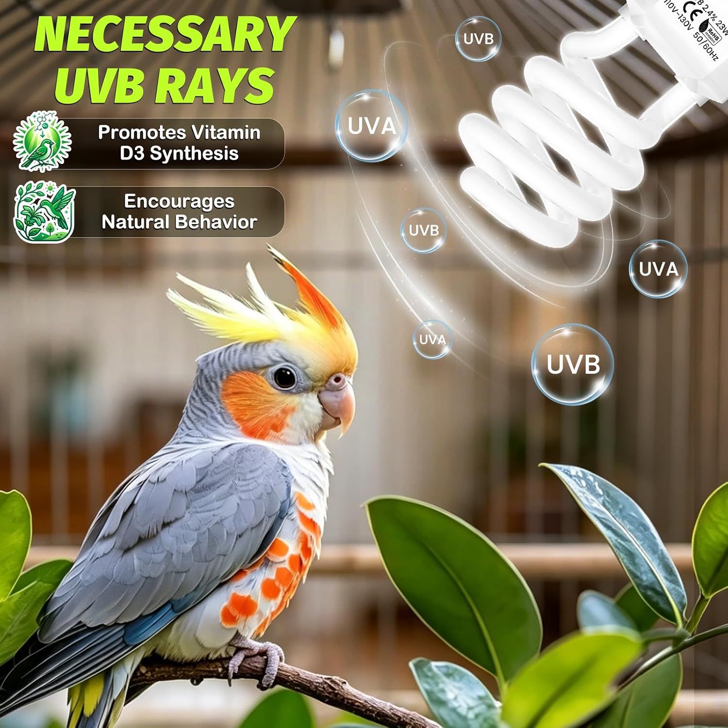 GlowUp UVB 2.4 Bird Light 23W, UVA UVB E26 Bird Cage Light for Birds