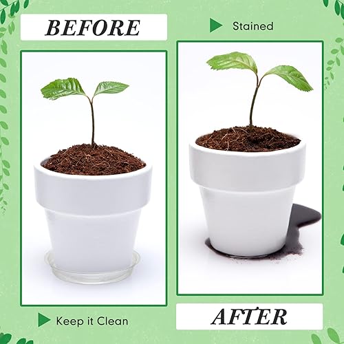 Miniatura 6 de Paquete de 50 platillos para plantas de 4681012 pulgadas, bandejas redondas de plástico transparente para plantas, bandeja de agua, platillos de