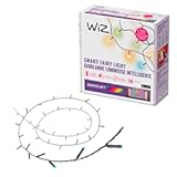 Fairy Lights&comma; 65&period;6ft RGB LED Smart Color-Changing&comma; Static and Dynamic Modes&comma; Music Sync&comma; App and Voice Control