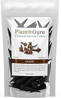 Clove Charcoal Incense Cones 2" BACKFLOW - 60 Pack - Natural Scented Cones Handmade Hand Dipped