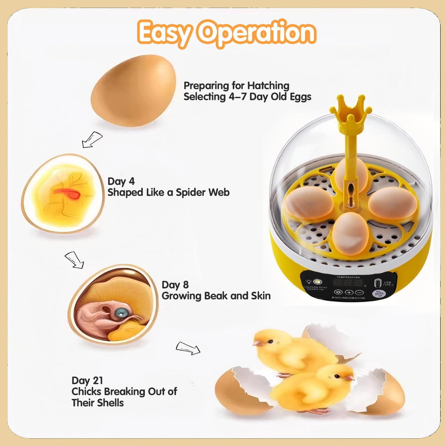 Tissting 4 Eggs Mini Incubator with Transparent Lid,7W Automatic Temperature Humidity Control,Household Small Poultry Hatching Machine,for Chickens Ducks Pigeons (Auto Turning)