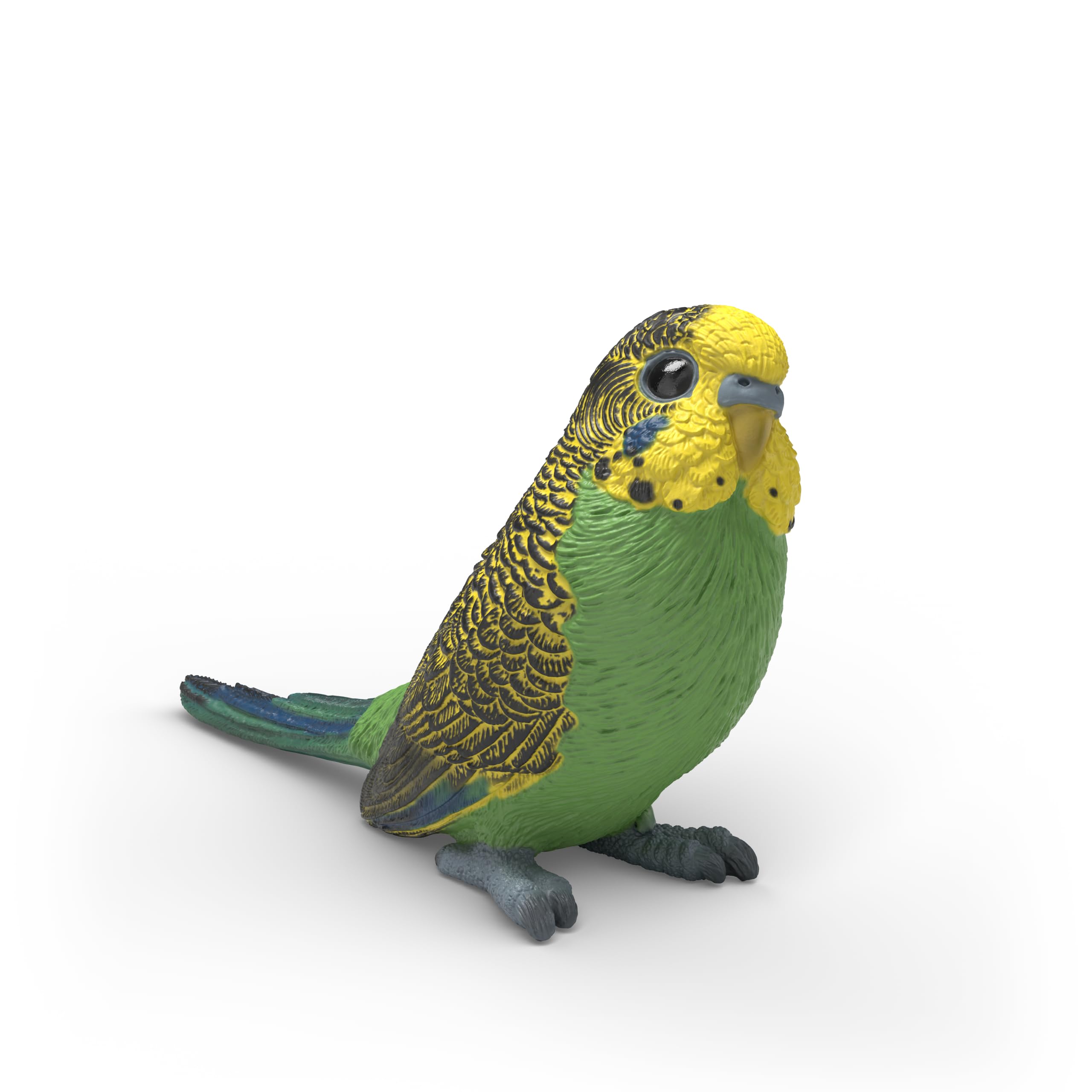 Schleich Farm World - Budgie Parakeet Toy Figurine - Kids Ages 3+ | 14939 | Farm Animal Figurine, Realistic Animal Toys, Bird Toy for Kids 3+, Screen-Free Imaginative Pretend Play, Montessori Toy