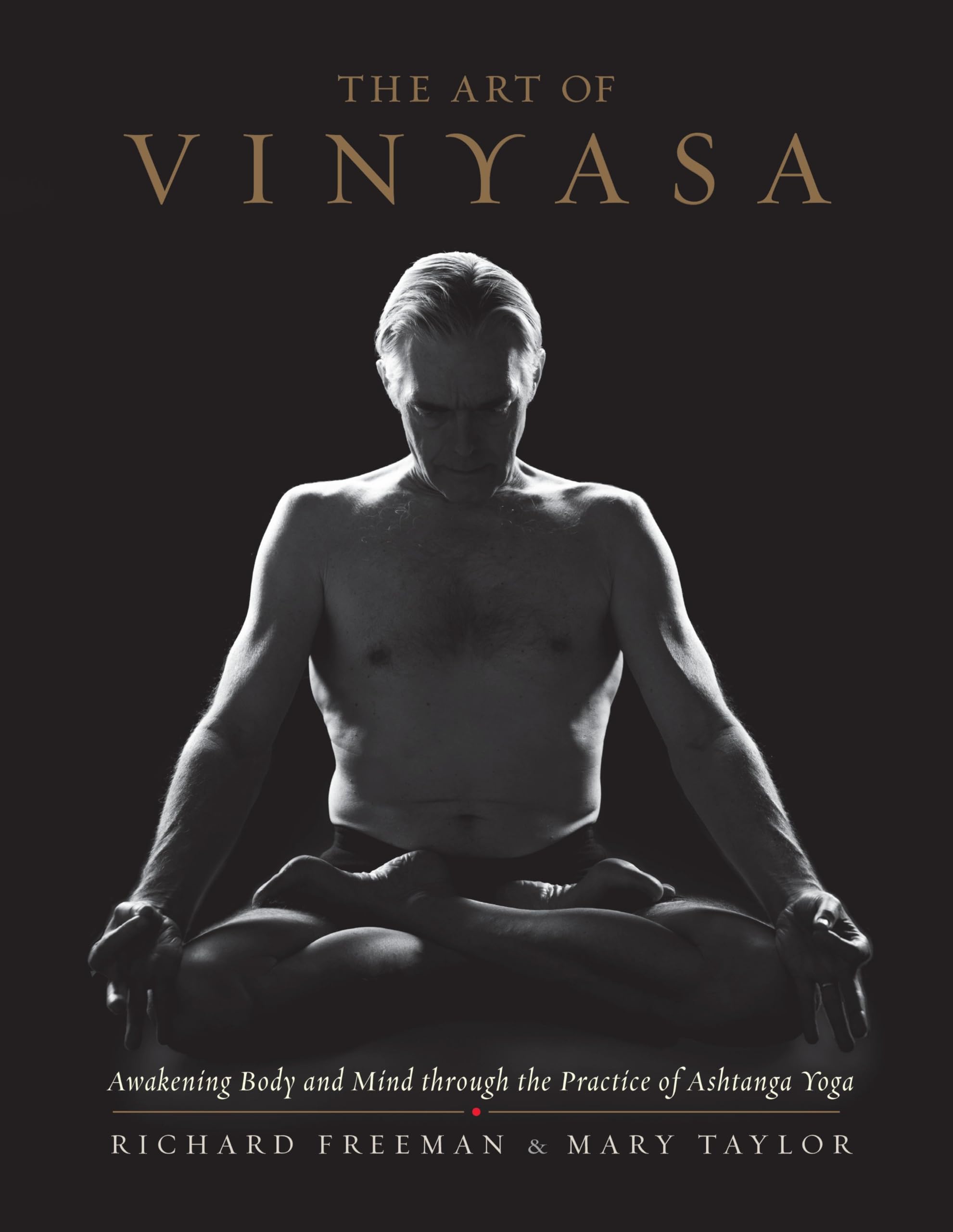 Art of Vinyasa: Awakening Body and Mind Through the Practice of Ashtanga Yoga