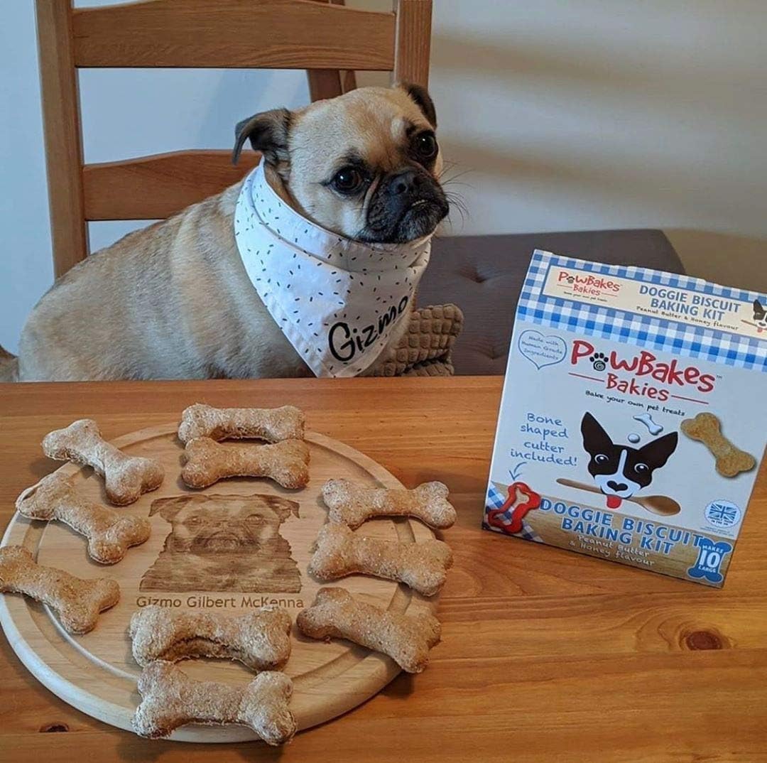 dog biscuit making kit