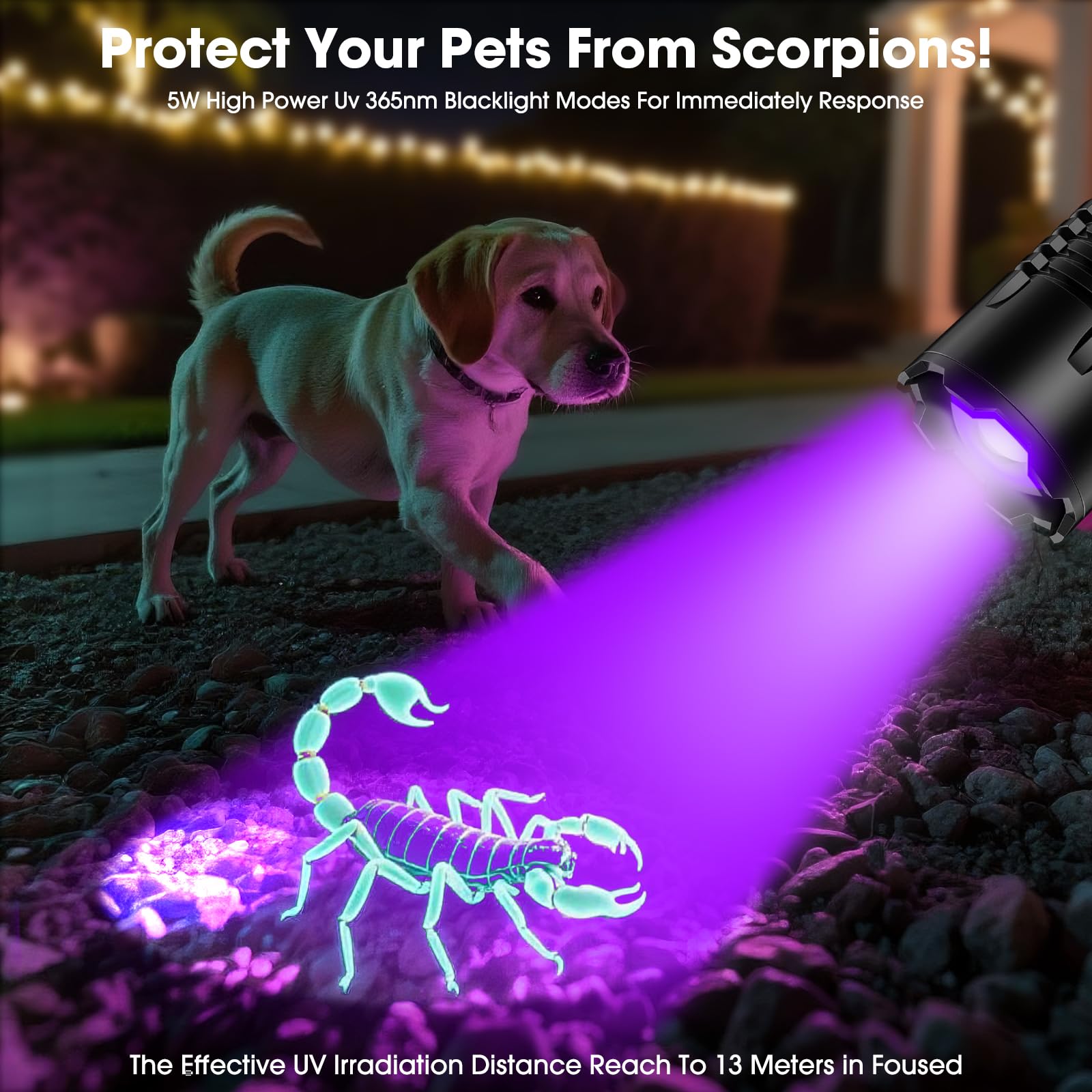 Linterna recargable con luz negra UV y lúmenes altos, potentes linternas de luz negra para detección de orina de mascotas, curado de resina, escorpión, linterna LED táctica impermeable con zoom
