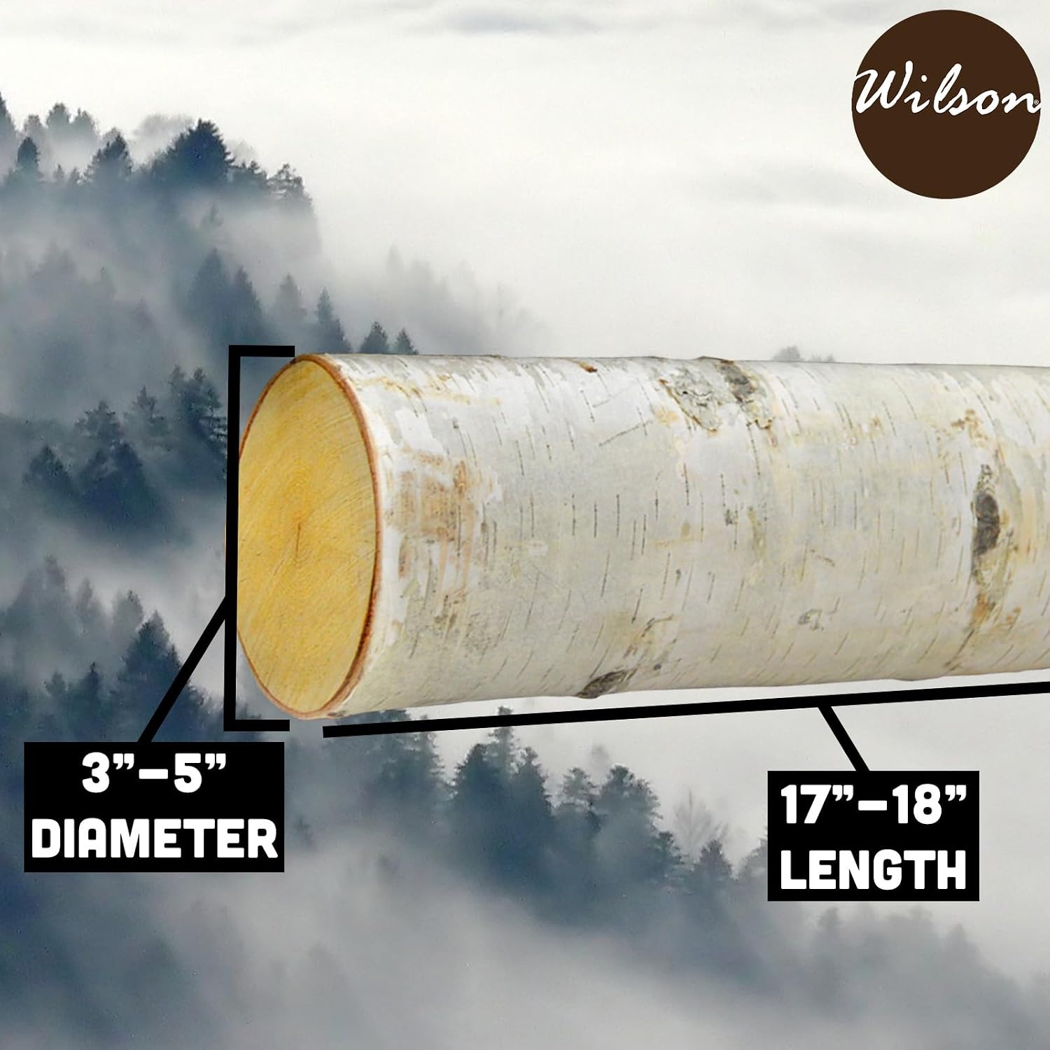 Wilson Birch Fireplace Large Log Set (5 Logs: 3''-5'' Dia. x 17-18" Long)