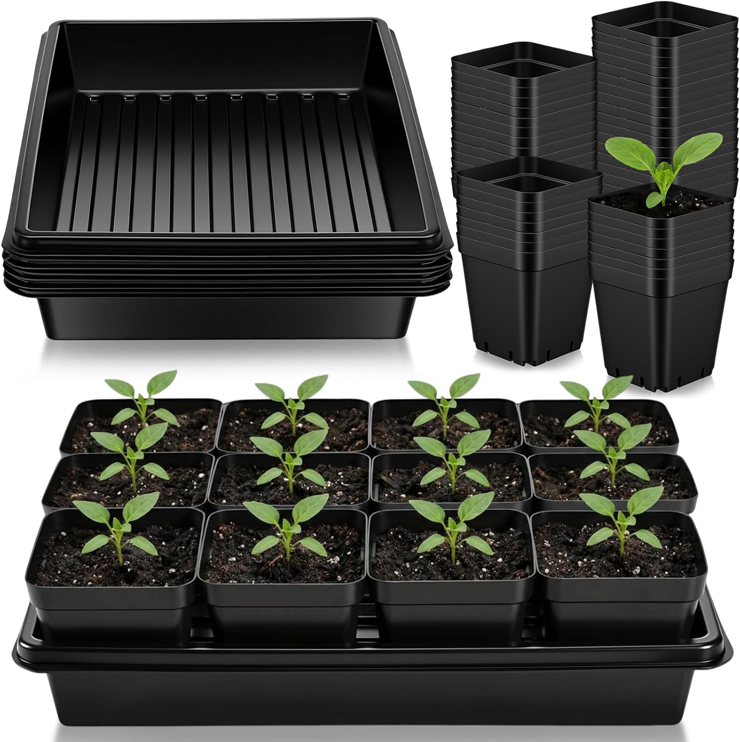 Vesici 120 Pcs 3.5 Inch Square Nursery Pots with Drainage Holes with 10 Pcs Sturdy Seed Starting Trays Seeds Starting Germination Microgreens Planter Nursery Propagation