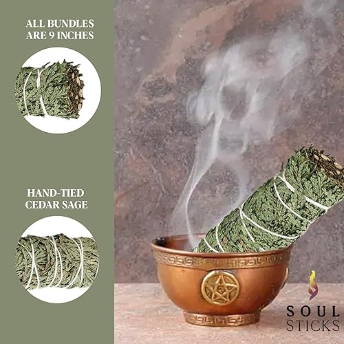 Miniatura 9 de Barra de manchas de salvia negra de 9 pulgadas para limpieza del hogar y limpieza de energía negativa  Varita de manchas de salvia negra orgánica