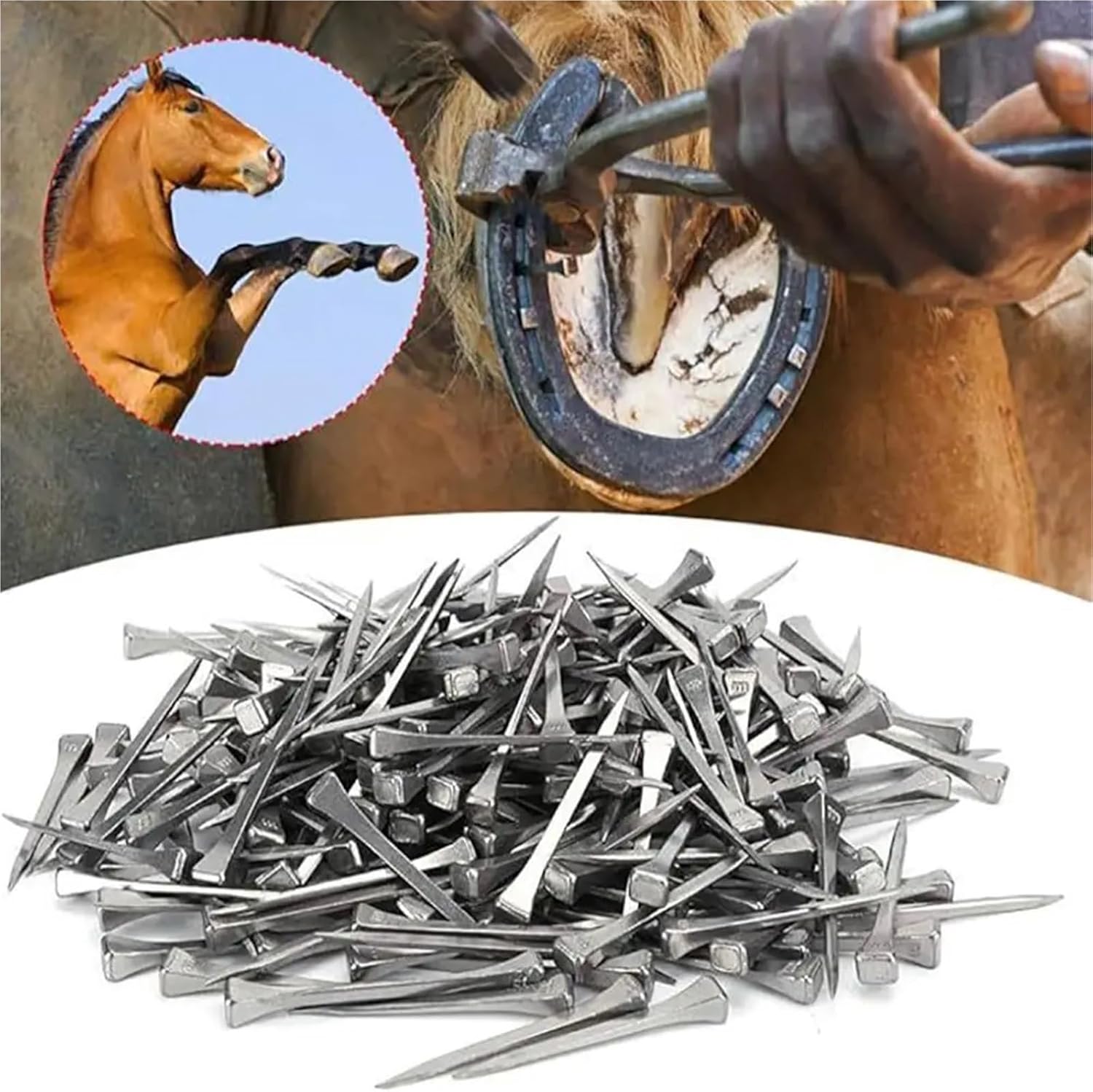 Horseshoe Nails 100 Pieces Assorted E2 to E8 Steel Horseshoe Nails – Reliable for Horse Hoof Care, Harness Repair & Riding Gear Needs(100Pcs E5 51mm)