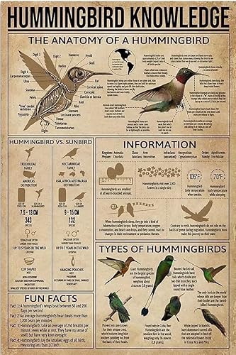 Youpinnong Lienzo decorativo para pared, póster de conocimiento de colibrí, la anatomía de un colibrí, impresiones en lienzo modernas, pósteres sin