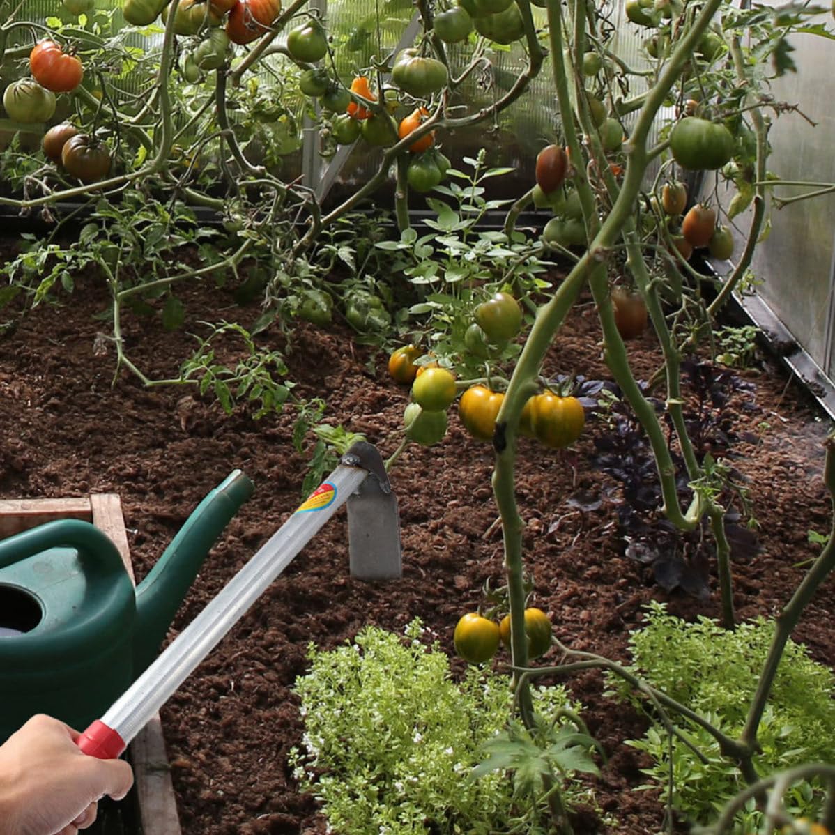 2 Pièces Petite Houe de Jardinage en Acier Inoxydable Rouge