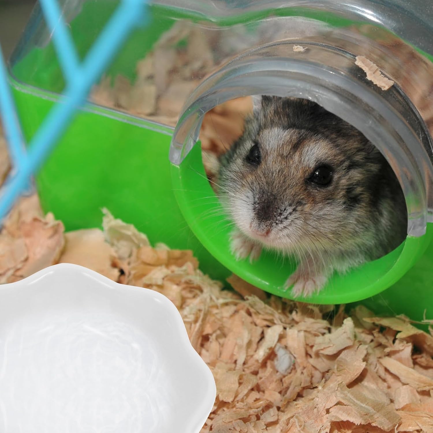 Ceramic Hamster Feeding Bowl 2pcs Set, Washable Small Animal Food Dish, Anti-tip Pet Bowl for Hamsters, Chinchillas, Guinea Pigs, and Rabbits