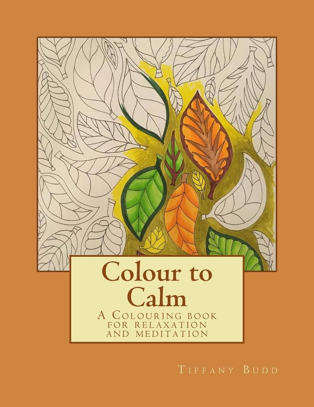 Colour to Calm: A Colouring book for relaxation and meditation
