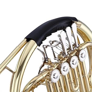 美品イオンバル フレンチホルンミュート Amazon.co.jp: ゼンオン フレンチホルン ZFH700 : 楽器・音響機器