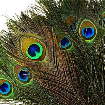 50pcs Natural Peacock Feathers with Eye Peacock Tail Feathers 16-20inch 40-50cm for Wedding Party Arts And Crafts Home Decorations