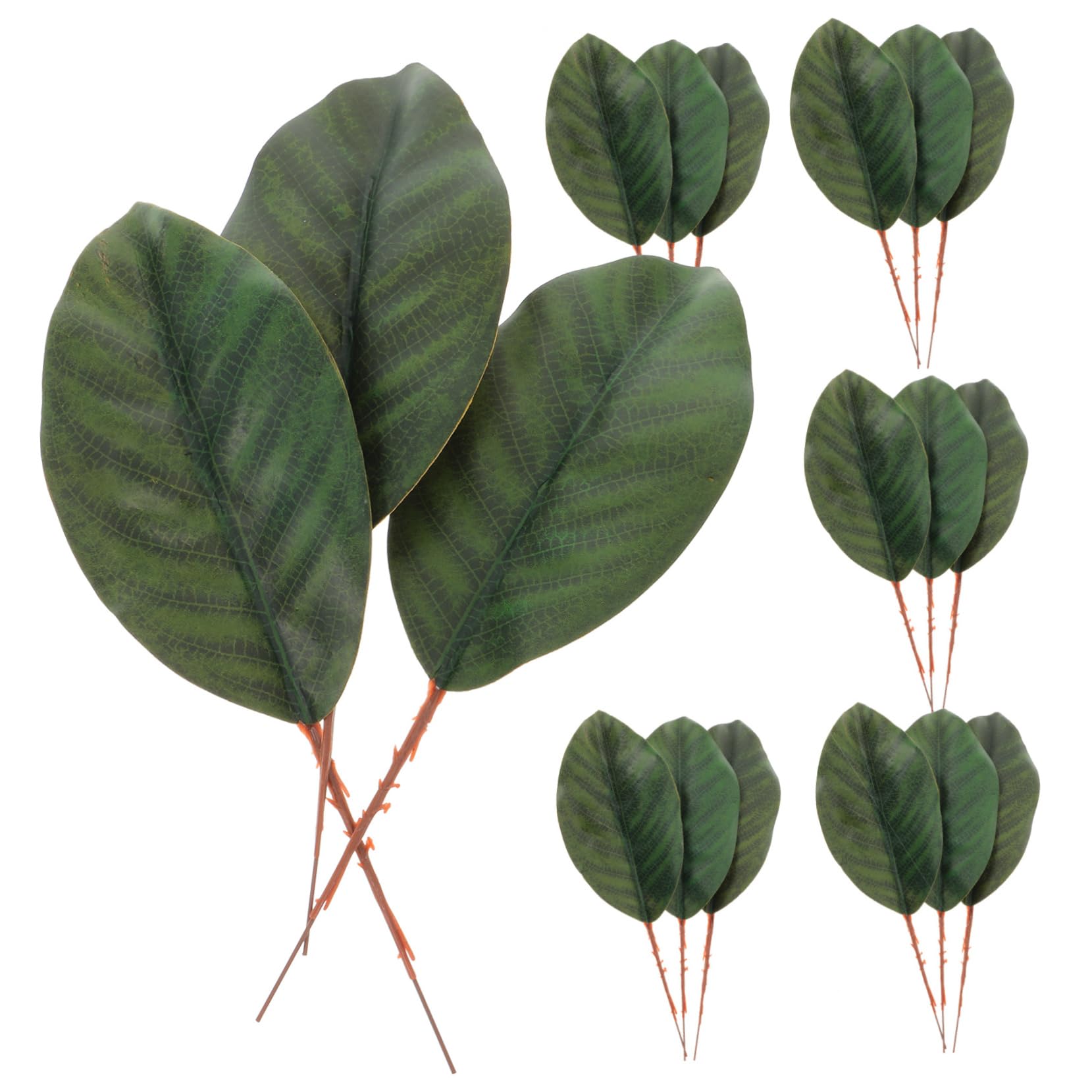 Cabilock 3 Set Di Foglie Di Magnolia Finte Foglie Artificiali Allingrosso Per Decorazioni E Composizioni Floreali 30 Pezzi * 3