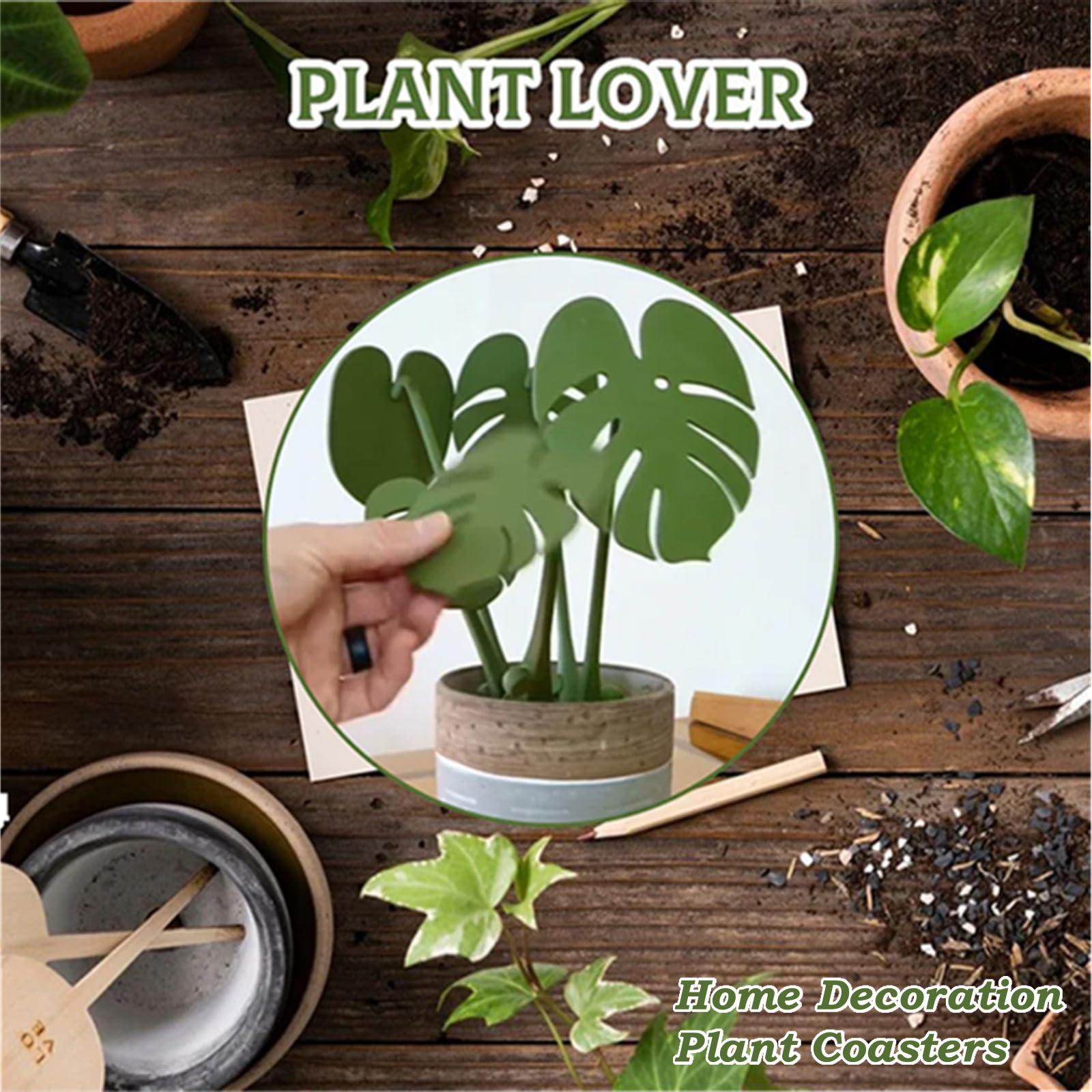 mmf 磁石付き コースター 2個セット Amazon | モンステラコースター 植物マグネット モンステラコースター