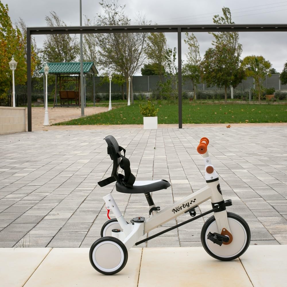 Interbaby Norby: 5 in 1 Dreirad und Laufrad mit Verdeck, 1 bis 5 Jahre