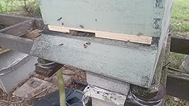 Review Image by Daily review Daily review