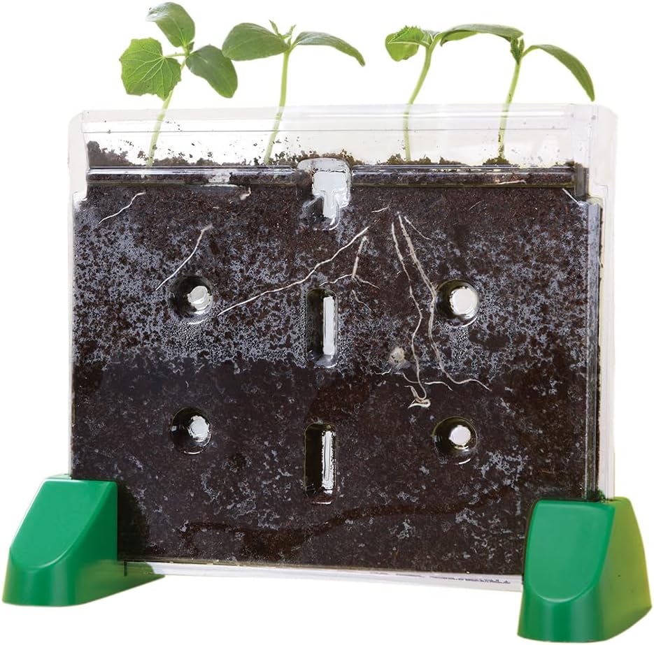 Educational Insights Sprout & Grow Window - See-Through Sprouts Growing Kit, Kids Gardening Set, Kid-Friendly Science Kits, Root Viewer, Gardening Kit for Kids, Indoor Classroom Planter, Ages 5+
