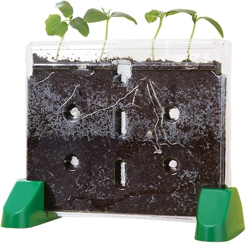 Ventana Educational Insights Sprout  Grow Window