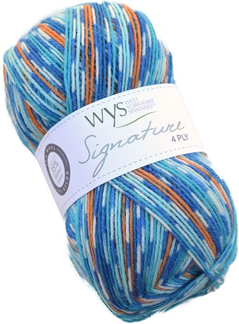 WYS Bluefaced Leicester Wool "Signature 4ply Sock Wool Sock Yarn 844 - Kingfisher, 100g | Dk Yarn/Wool - selfpattern with Blue Faced Leicester Wool
