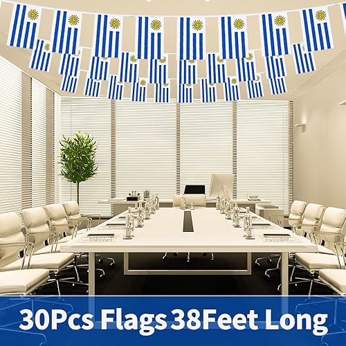 Miniatura 140 de Bandera de Argentina pequeña mini bandera argentina decoración para desfiles, fiestas, aulas, jardines y festivales (Argentina)