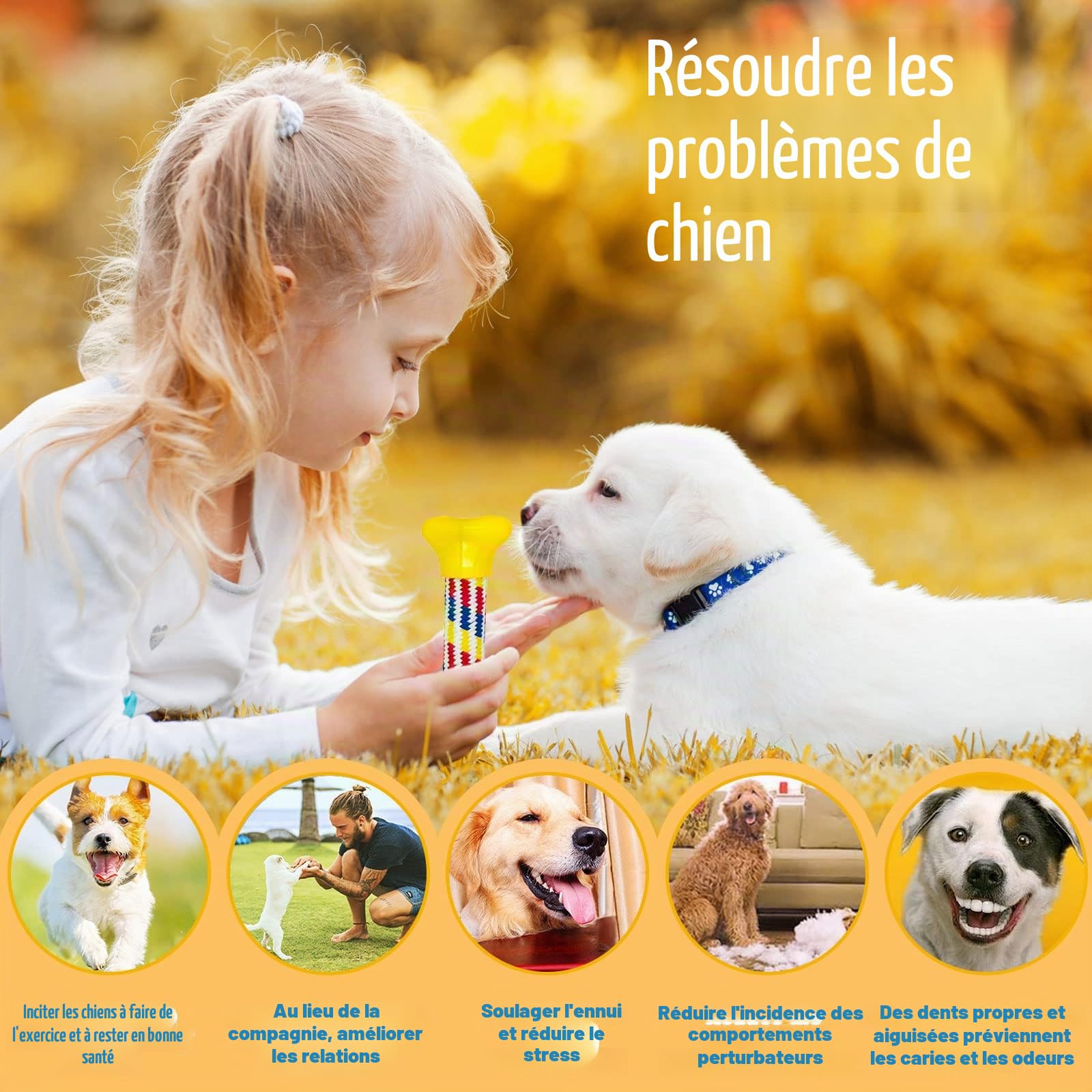 Lot de 20 jouets pour chien - Corde interactive - Balle en corde - Dents robustes - Jouet durable pour chiens de petite et grande taille