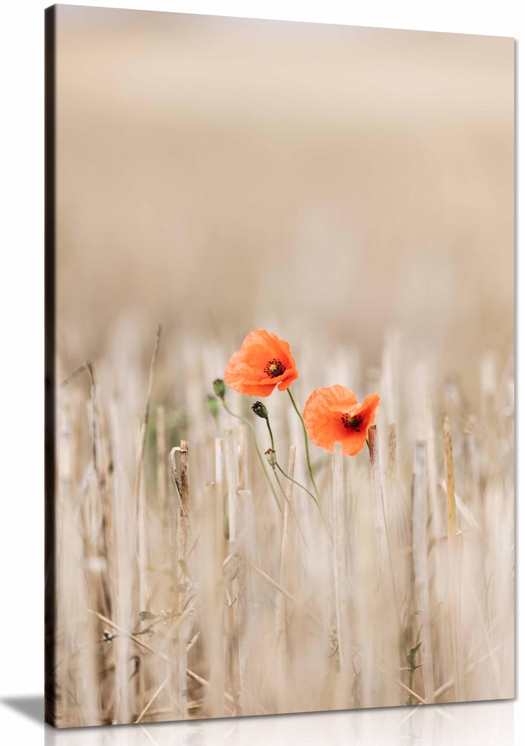 Summer Poppies Framed Canvas Print, Pictures for Home Walls, Bedroom, Living Room & Bathroom Decor 31x20cm (12x8in)