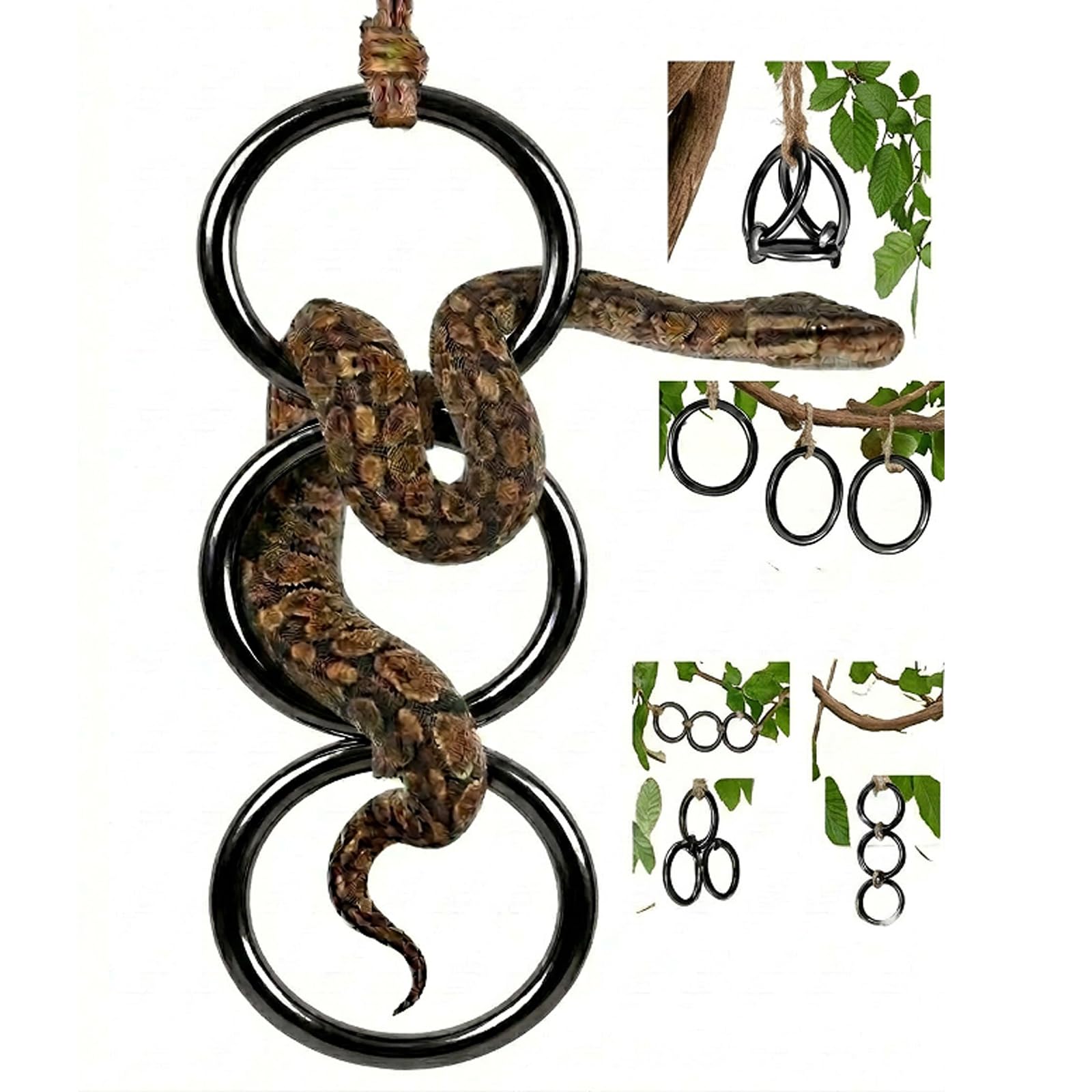 Horsmiyala Horsmiyla 3-Ring DIY Snake Climbing Rings - terrarium accessories | Mubboo