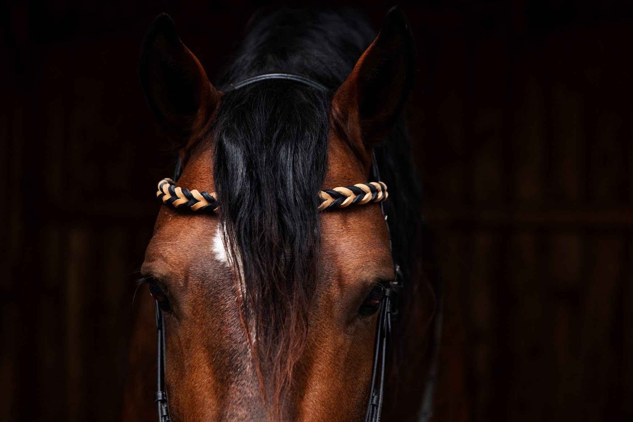 Lederliebe Fettleder Stirnriemen für Trense Kandare handgemacht Reitzubehör personalisierbar