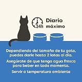 Ver la foto 5