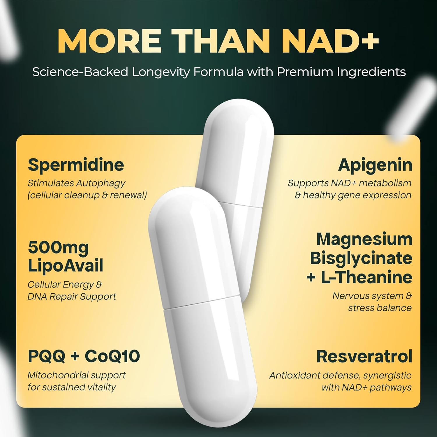 UPLIFE NAD+ Supplement 1,372mg Liposomal NAD+ with CoQ10, Resveratrol, Spermidine, L-Theanine, Apigenin & PQQ NMNH Alternative Booster for Cellular Energy, Healthy Aging, Immune Health 120 Capsules