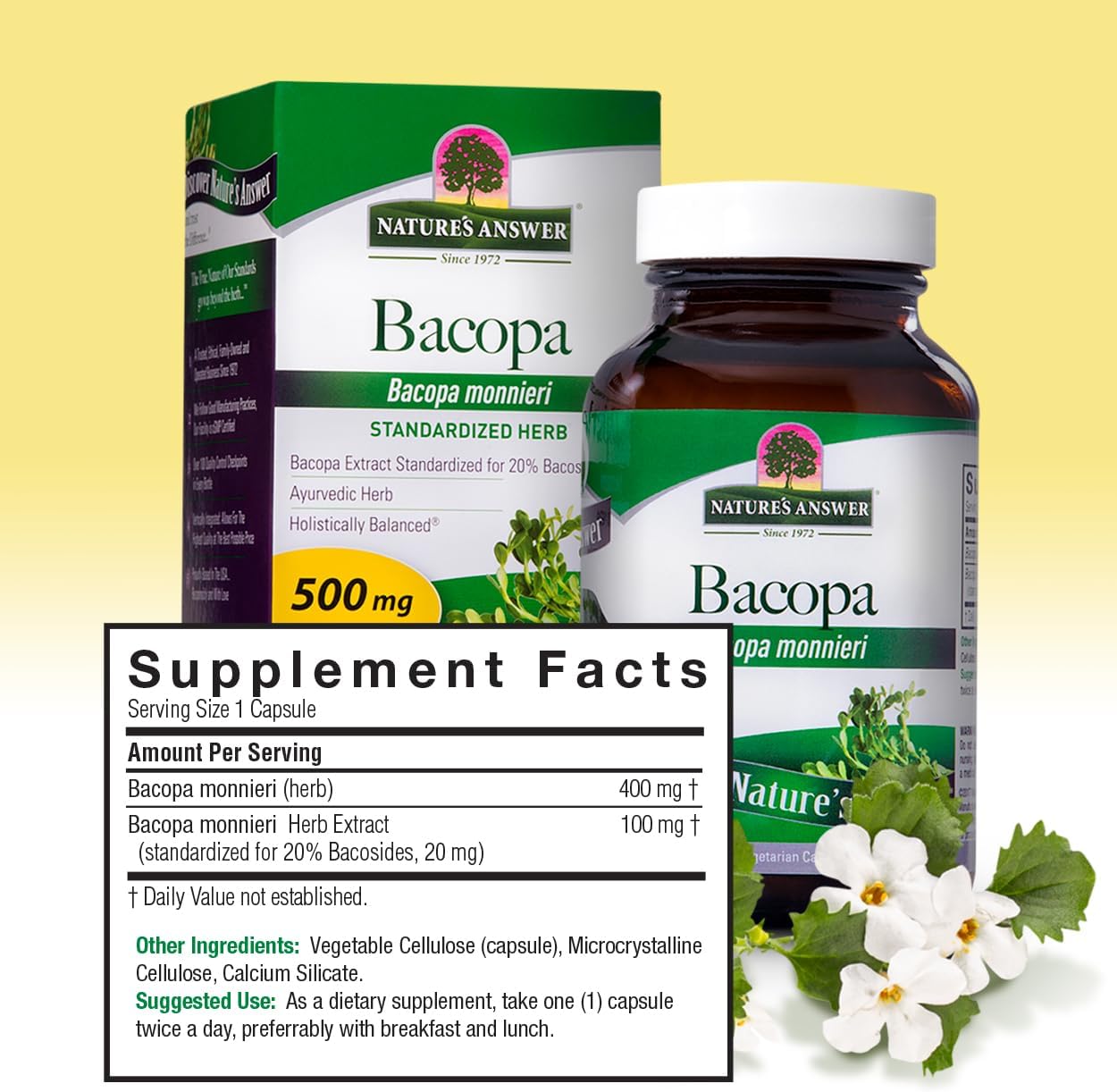 's Answer Bacopa Mieri | Helps Imp Memory | NON-O| No