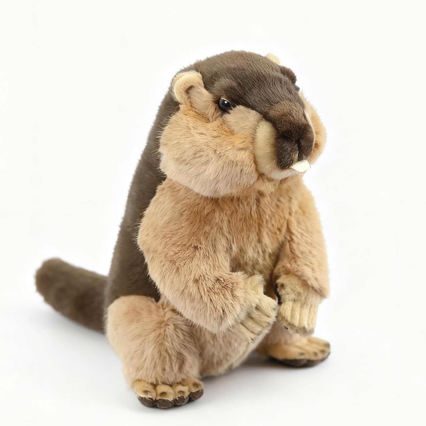RLOMUTE 9.8 Inch brown Groundhog Plush Toy Realistic Stuffed Animal Super Soft Cute woodchuck for Birthday Party Favors Companions Bedroom Car Home Decor Collectible Gift for kids Boys Girls