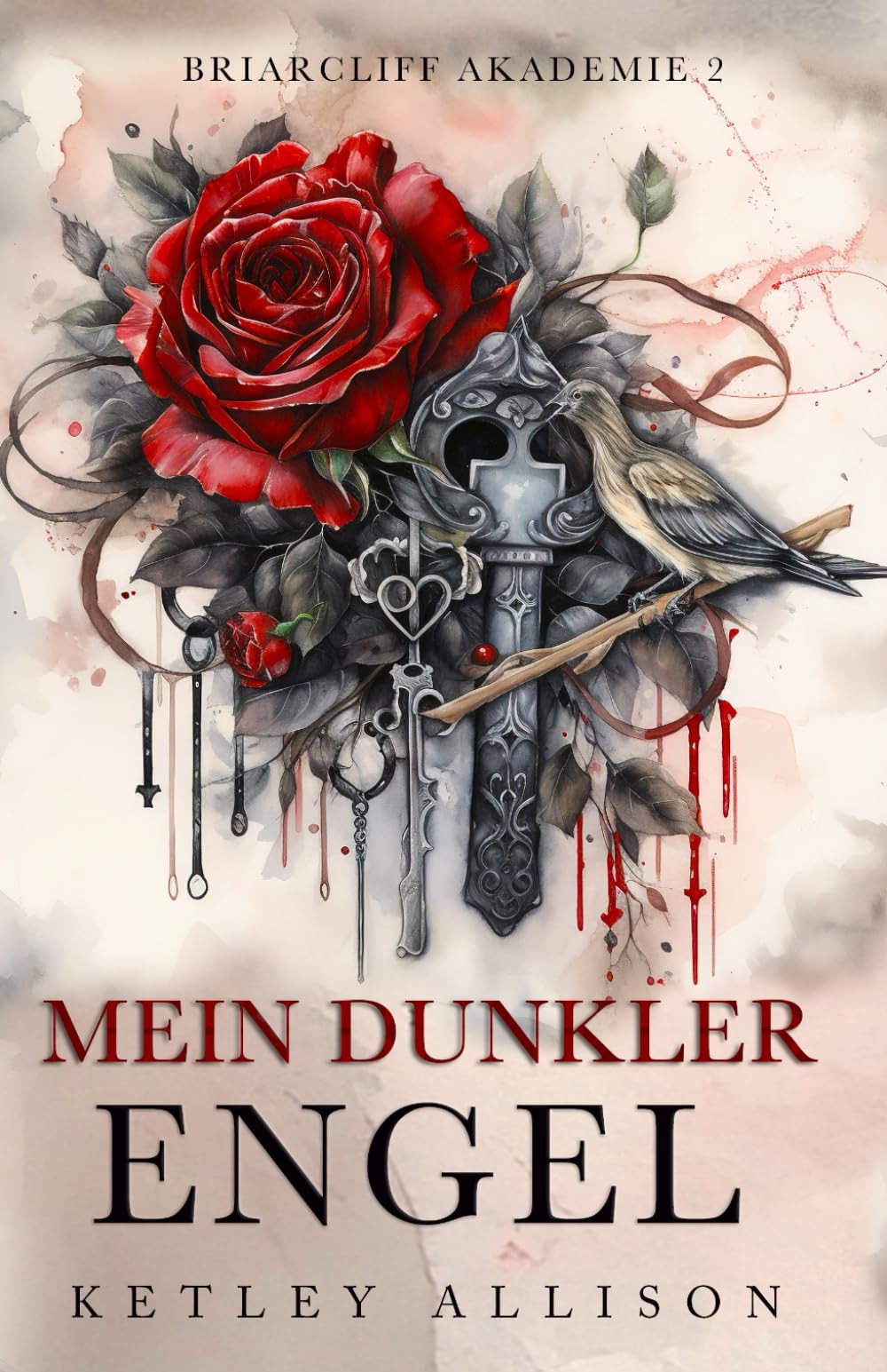 Mein dunkler Engel (Briarcliff Akademie)
