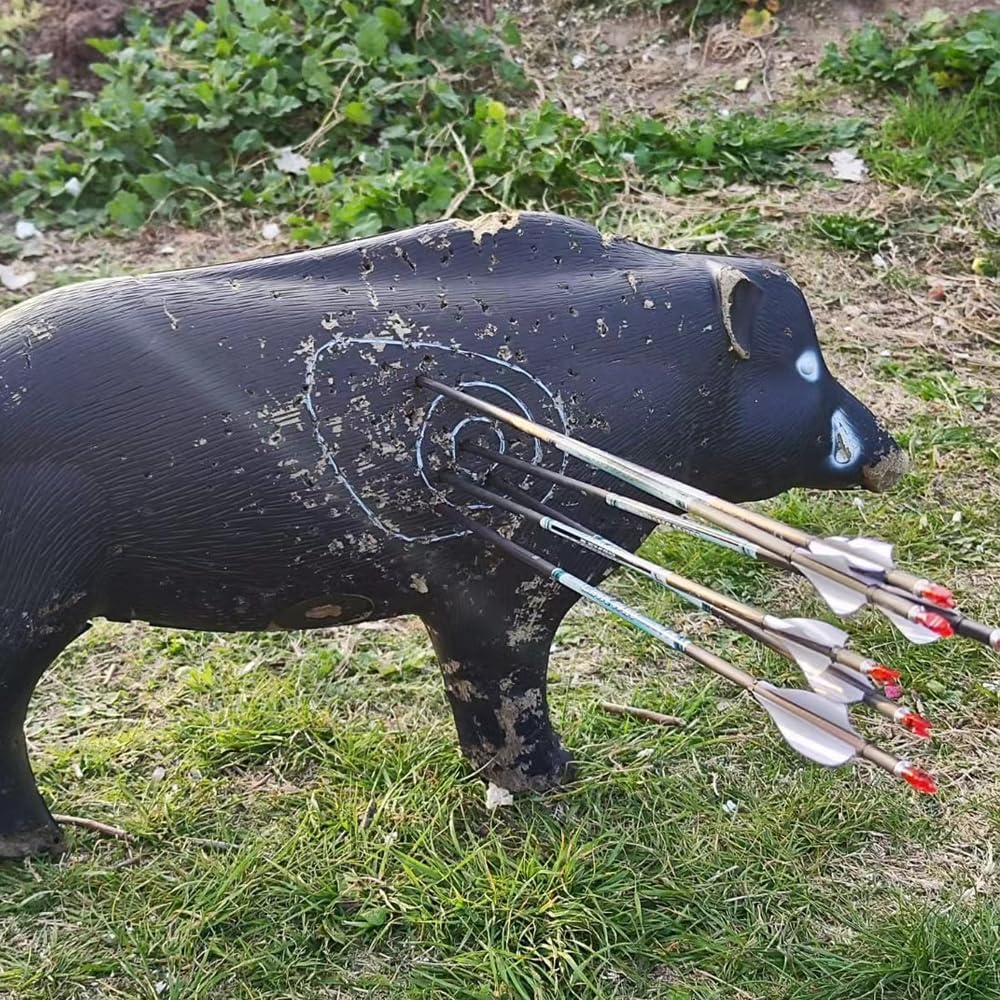 Linkboy Archery 0.001 30inch Carbon Arrows 300 340 400 500 600 Spine Target Practice Arrows Recurve Compound Hunting Bow Longbow 12pcs