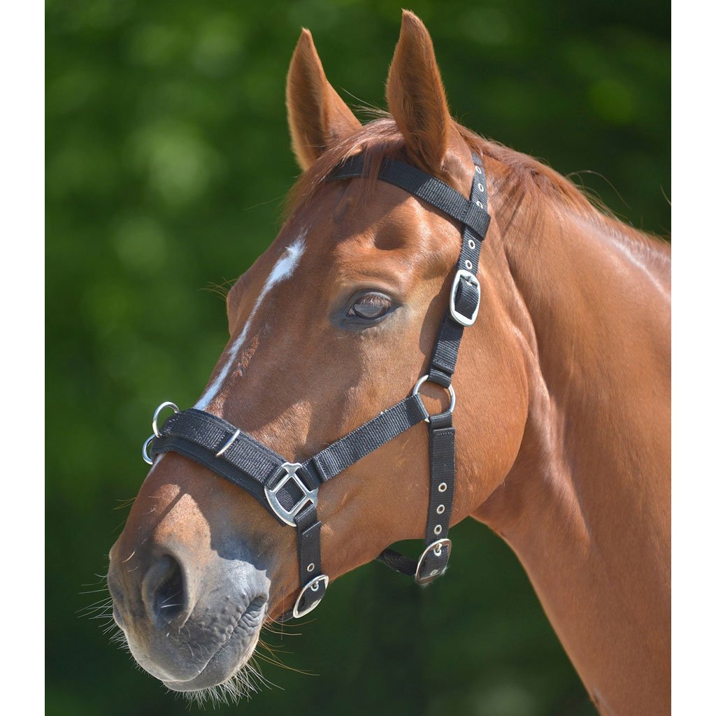 Protection De Sabot Waldhausen Pour Cheval - Noir - Taille WB Et PON - Facile à Fermer Velcro