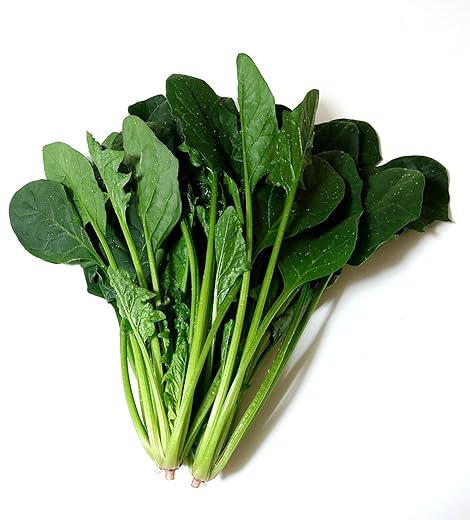 Tokyo Organic(トウキョウオーガニック) 国内産 Tokyo Organic 有機ほうれん草 1袋 130g