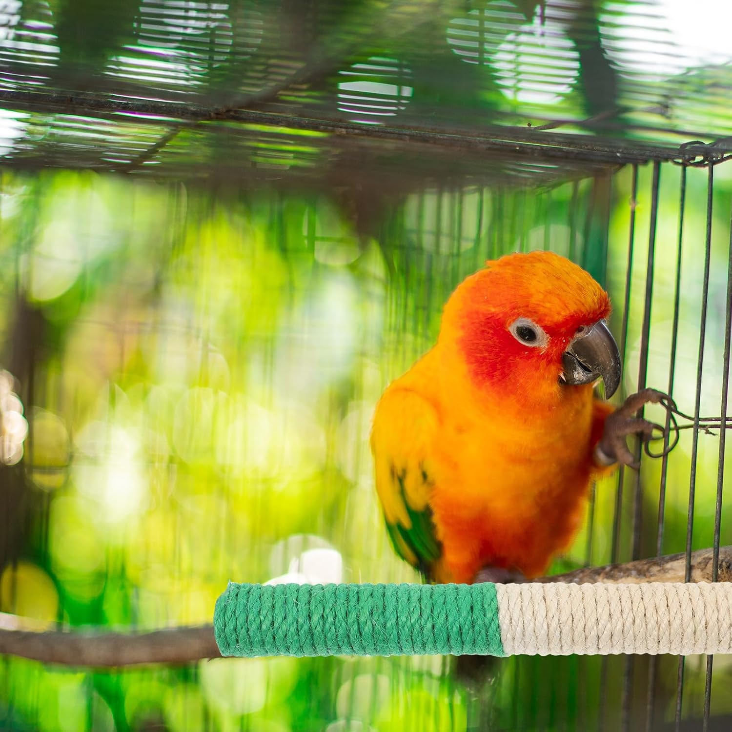 Bird Perch Stand for Parrots, Wood Rope Cage Accessory image 4