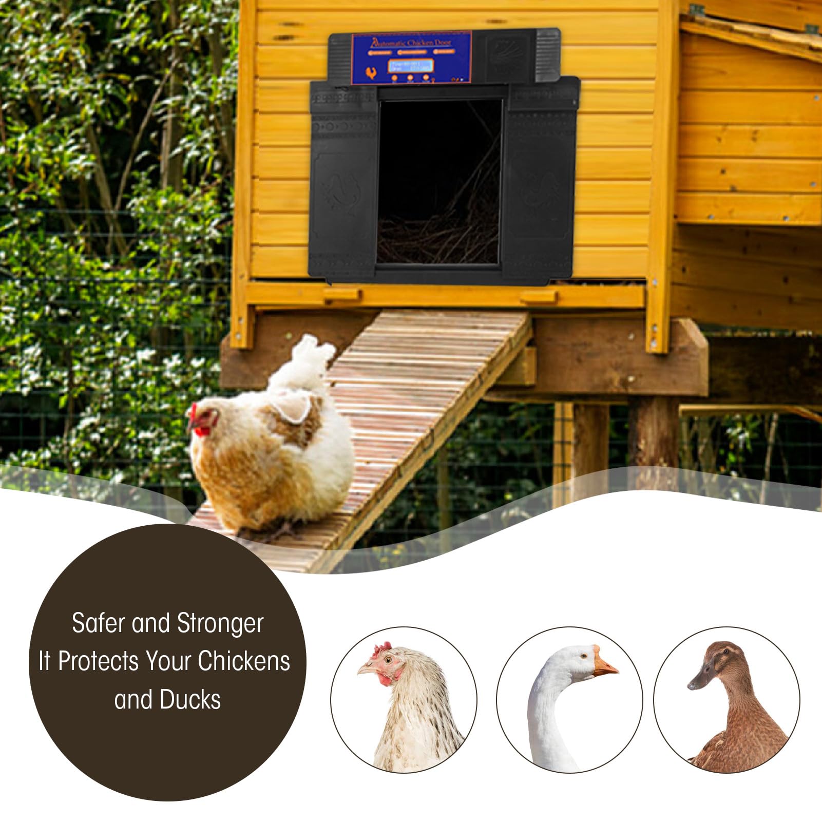 Cocoarm Puerta Automática para Gallinero, Puerta de Gallinero con Energía Solar con Temporizador, Infrarrojos Anti Pellizco, Pantalla LED, Doble Potencia, IP45 Impermeable para Pollos, Patos, Gansos