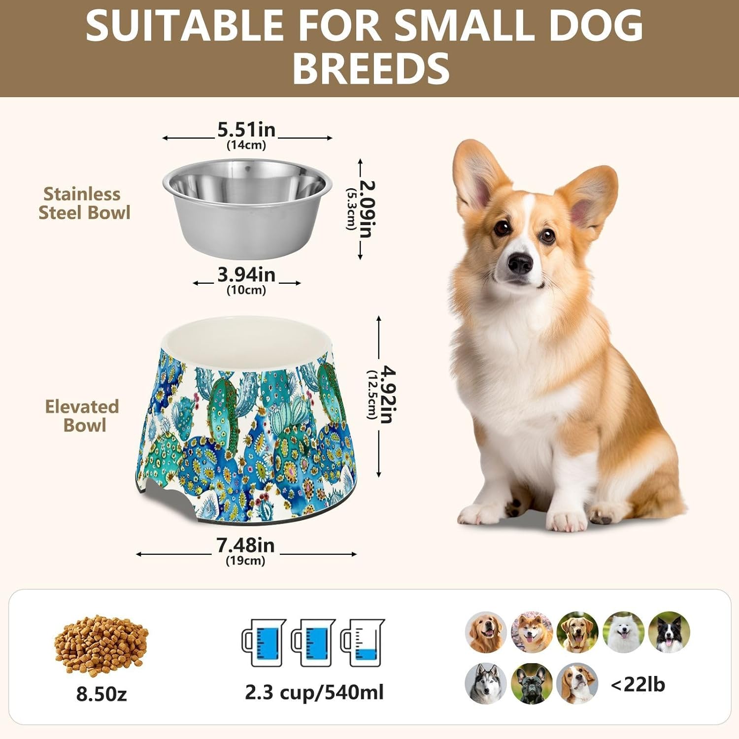 Boho Cactus Paisley Topaz Pets Food Bowl Enhanced Stainless Steel Cats Food Bowls for Small Dogs Slow Down Eating