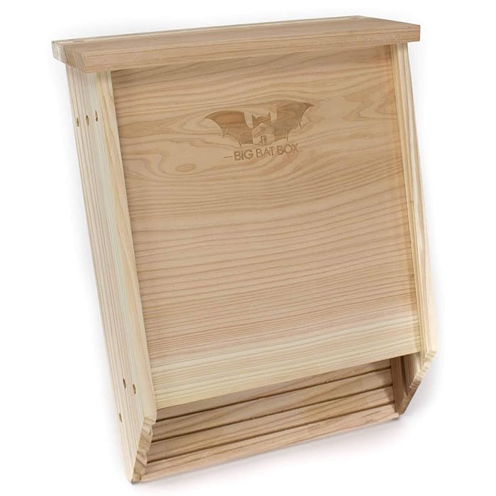 Buy WildYard Large Bat House for Outdoors BCI Certified 2 Chamber