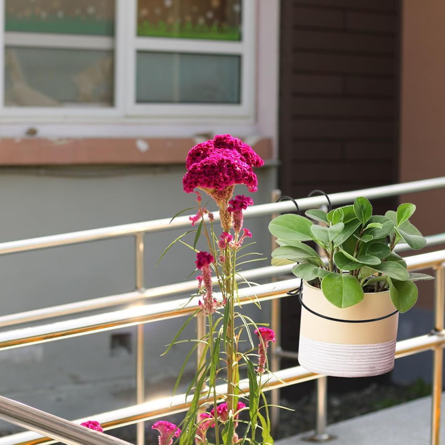 Sosoport 6 Pcs Basket Stand Hanging Planter Outdoor Pot Holder Wall Plant Hook Flowerpots Holder Metal Wreath Hanger Plant Hanger Bracket Flowerpots Rack Showcase Rings Iron